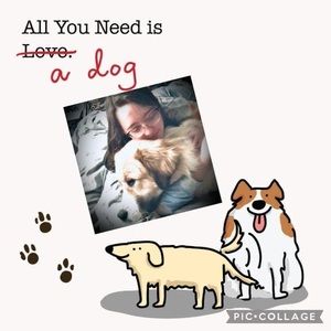 Meet your Posher, Catherine